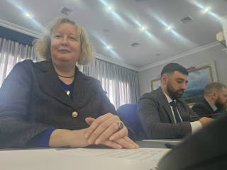 Директор гуманитарного института Марина Колесникова прияла участие в заседании комитета Думы Ставропольского края по казачеству, безопасности, межпарламентским связям и общественным объединениям.